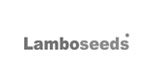 lamboseeds